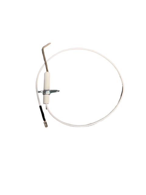 DETECTION ELECTRODE - Biasi